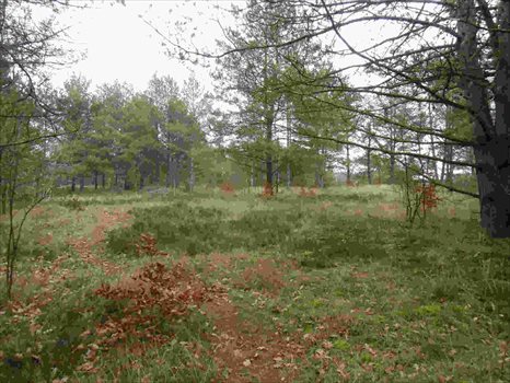 Działka budowlana na sprzedaż Kamień, Beżowa 1 152m2 Foto 1