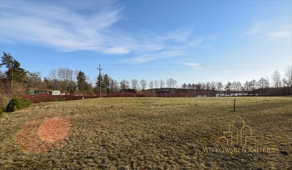 Działka rekreacyjna na sprzedaż Leszcz 2 954m2 Foto 8