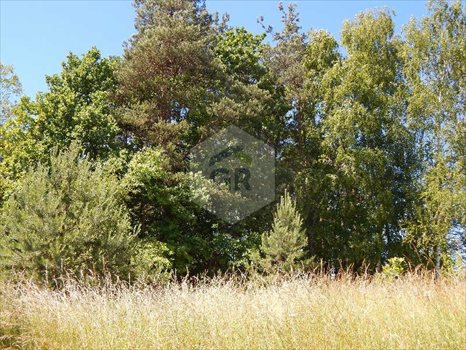 Działka rekreacyjna na sprzedaż Kościerzyna, Kościerzyna, Plebanka 2 532m2 Foto 4
