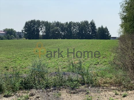 Działka budowlana na sprzedaż Klonówiec 12 802m2 Foto 2