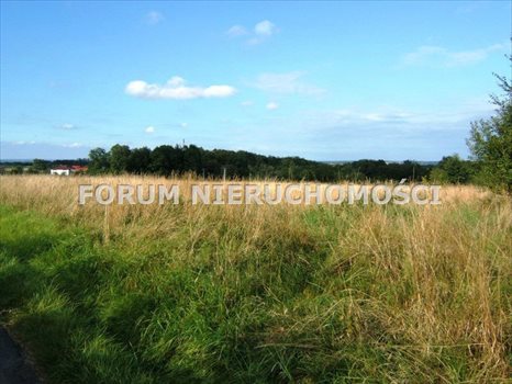 Działka budowlana na sprzedaż Bielsko-Biała, Stare Bielsko 3 240m2 Foto 2