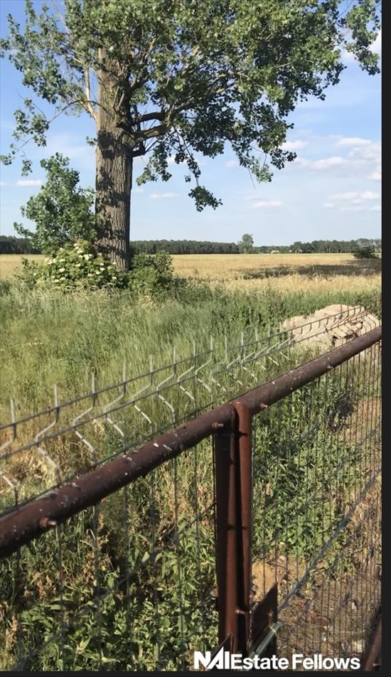 Działka rolna na sprzedaż Lipnica 12 471m2 Foto 3