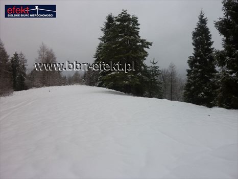 Działka rekreacyjna na sprzedaż Międzybrodzie Żywieckie 3 600m2 Foto 2