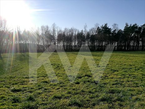 Działka budowlana na sprzedaż Brzeźce 3 700m2 Foto 2