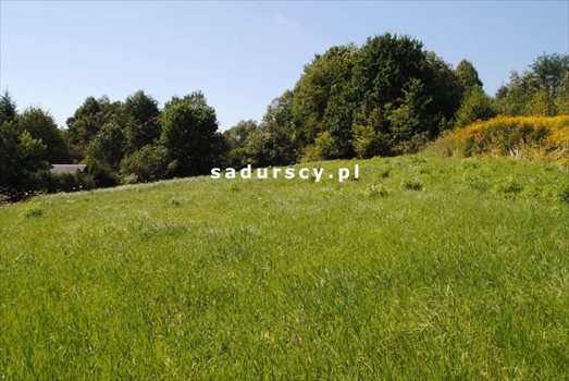 Działka budowlana na sprzedaż Mogilany, Leszczynowa 1 000m2 Foto 1
