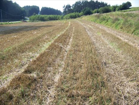Działka budowlana na sprzedaż Smołdzino, Smołdzino, Kartuska 1 085m2 Foto 13