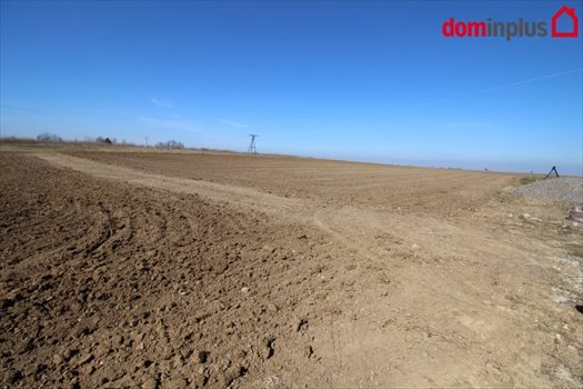 Działka inna na sprzedaż Lulkowo, Łysomice 3 000m2 Foto 3
