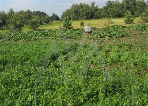Działka inna na sprzedaż Gołubie, Zamkowisko 1 484m2 Foto 7
