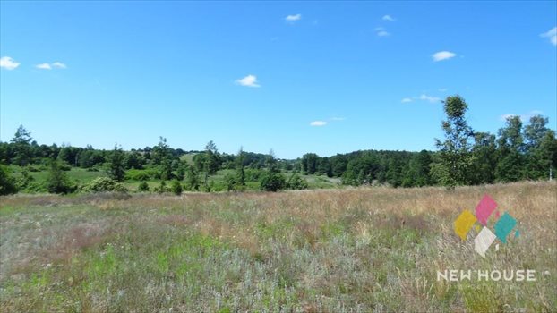 Działka rolna na sprzedaż Maruny 3 000m2 Foto 9