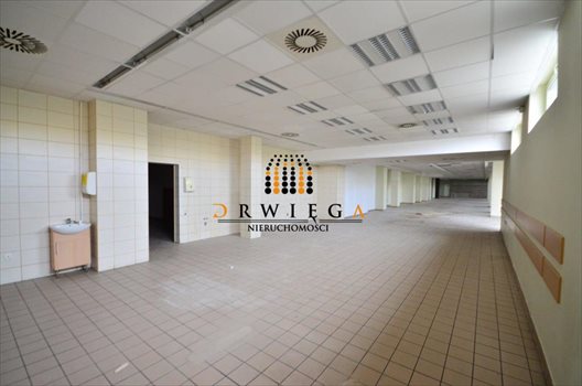 Lokal użytkowy na wynajem Gorzów Wielkopolski, Górczyn 985m2 Foto 7