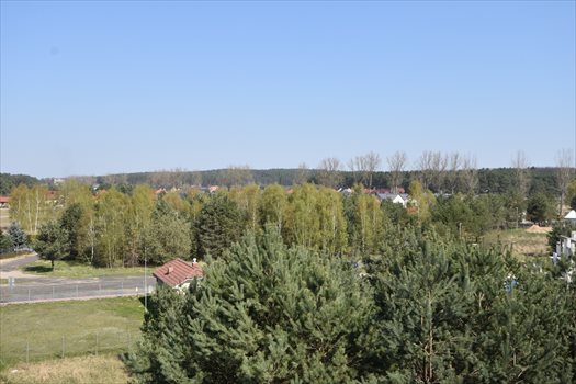 Mieszkanie trzypokojowe na sprzedaż Zielona Góra 56m2 Foto 10