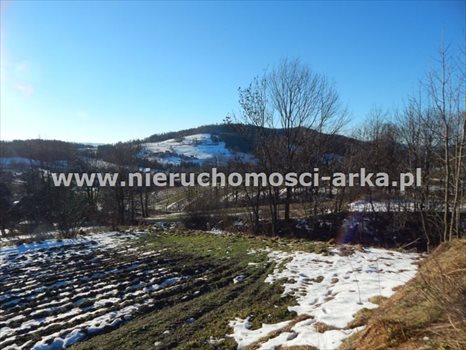 Działka budowlana na sprzedaż Wilczyce 1 900m2 Foto 1