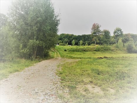 Działka budowlana na sprzedaż Charzykowy, Droga pod Strzechę 1 945m2 Foto 4