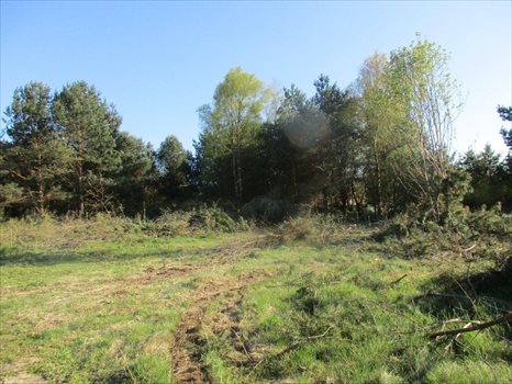 Działka budowlana na sprzedaż Gdynia, Wielki Kack, Chlebowa 532m2 Foto 1
