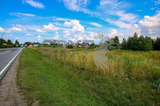 Działka inna na sprzedaż Kobylnica 1 000m2 Foto 3