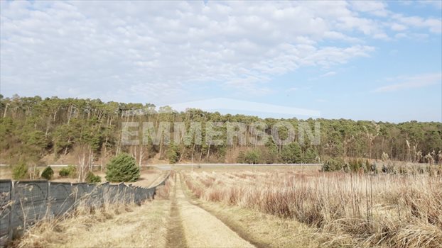 Działka budowlana na sprzedaż Zdwórz 900m2 Foto 2