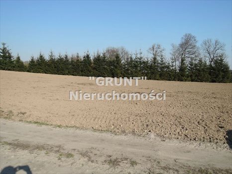 Działka siedliskowa na sprzedaż Róża Wielka 8 000m2 Foto 6