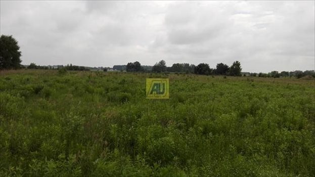 Działka budowlana na sprzedaż Nowe Racibory 15 000m2 Foto 6