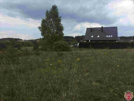 Działka budowlana na sprzedaż Bojano, Jana Chrzciciela 1 307m2 Foto 5