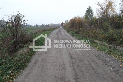 Działka leśna na sprzedaż Drozdowo 93 200m2 Foto 4