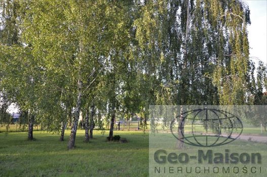 Lokal użytkowy na sprzedaż Pajęczno 396m2 Foto 13