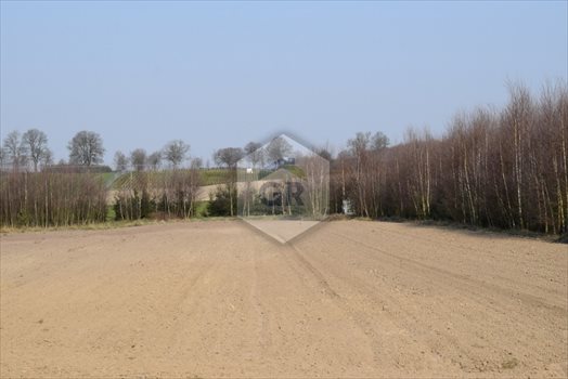 Działka budowlana na sprzedaż Stare Polaszki 6 251m2 Foto 4