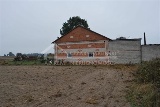 Działka inwestycyjna na sprzedaż Michałówka 20 000m2 Foto 2