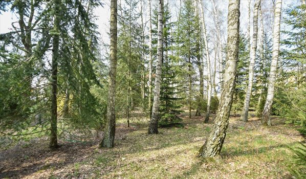 Działka budowlana na sprzedaż Warszawa, Wesoła Stara Miłosna, Łagodna 680m2 Foto 2