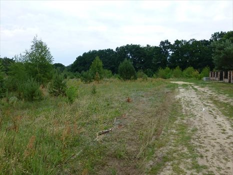 Działka inna na sprzedaż Kwakowo, Krótka 1 366m2 Foto 7