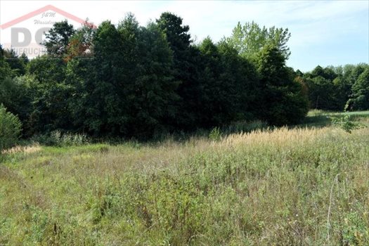 Działka inna na sprzedaż Gudowo, Jezioro, Kościół, Las, Plac zabaw, Przystanek auto 7 892m2 Foto 9