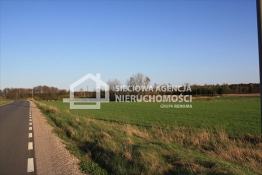 Działka siedliskowa na sprzedaż Stara Kiszewa 8 767m2 Foto 3