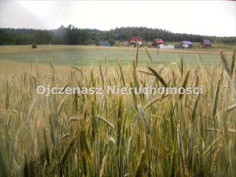 Działka rolna na sprzedaż Lipy 3 000m2 Foto 1
