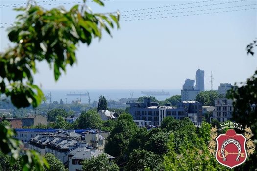 Działka budowlana na sprzedaż Gdynia, Leszczynki 1 444m2 Foto 7