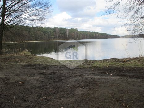 Działka rolna na sprzedaż Gołubie 114 900m2 Foto 9