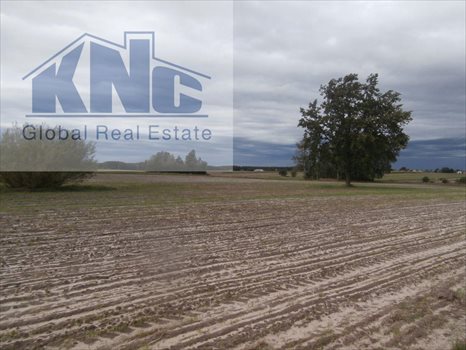 Działka budowlana na sprzedaż Praca 1 169m2 Foto 4
