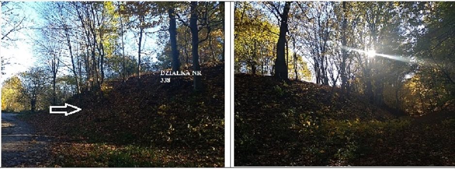 Działka budowlana na sprzedaż Dębnica Kaszubska 2 258m2 Foto 4