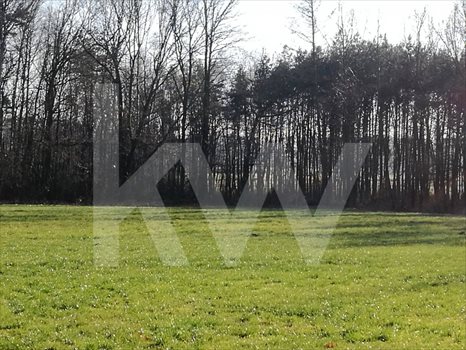 Działka budowlana na sprzedaż Brzeźce 3 700m2 Foto 8