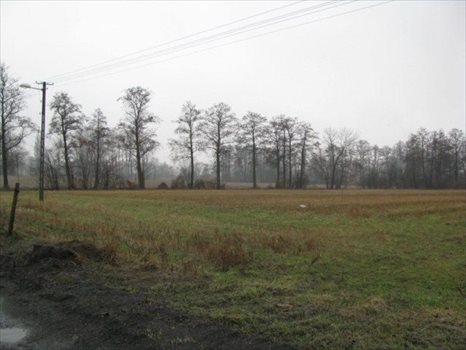 Działka budowlana na sprzedaż Otusz, Otusz 1 220m2 Foto 1