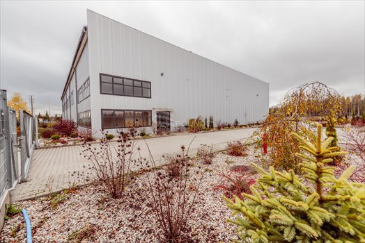 Lokal użytkowy na wynajem Suwałki 2 780m2 Foto 10
