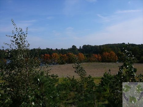 Działka inna na sprzedaż Kamień, Tymiankowa 1 532m2 Foto 6