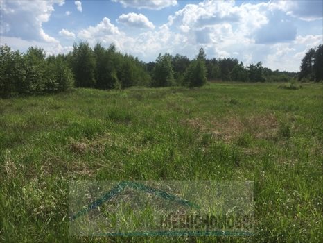Działka przemysłowo-handlowa na sprzedaż Emilianów, wjazd z węzła trasy S8 Wola Rasztowska 56 264m2 Foto 6