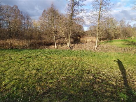 Działka inna na sprzedaż Rajgród 3 000m2 Foto 1
