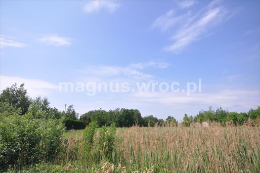 Działka komercyjna na sprzedaż Zębice 2 846m2 Foto 4