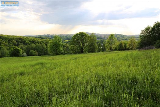 Działka budowlana na sprzedaż Mogilany 2 400m2 Foto 6
