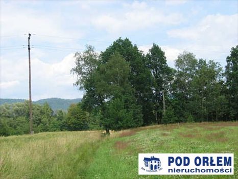Działka rolna na sprzedaż Pietrzykowice 3 943m2 Foto 7