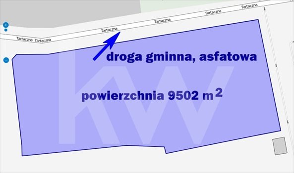 Działka przemysłowo-handlowa na sprzedaż Racibórz 9 502m2 Foto 6