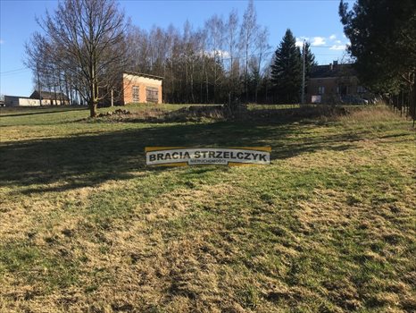 Działka inna na sprzedaż Górka Powielińska 5 500m2 Foto 7