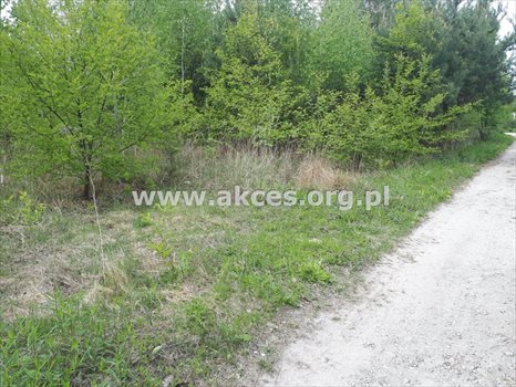 Działka budowlana na sprzedaż Gabryelin 1 004m2 Foto 5