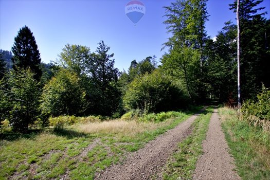 Działka inwestycyjna na sprzedaż Międzybrodzie Żywieckie 5 596m2 Foto 7