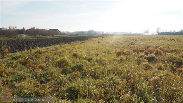 Działka budowlana na sprzedaż Zielonki 1 166m2 Foto 6